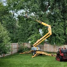 Best Lawn Watering Services  in Pinehurst, ID