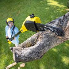 Best Commercial Tree Services  in Pinehurst, ID