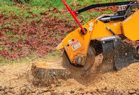 Best Storm Damage Tree Cleanup  in Pinehurst, ID