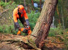 Best Lawn Irrigation Installation and Maintenance  in Pinehurst, ID