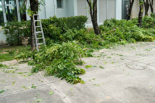 Best Lawn Renovation and Restoration  in Pinehurst, ID