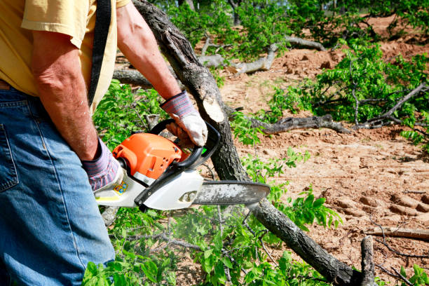 Best Lot and Land Clearing  in Pinehurst, ID